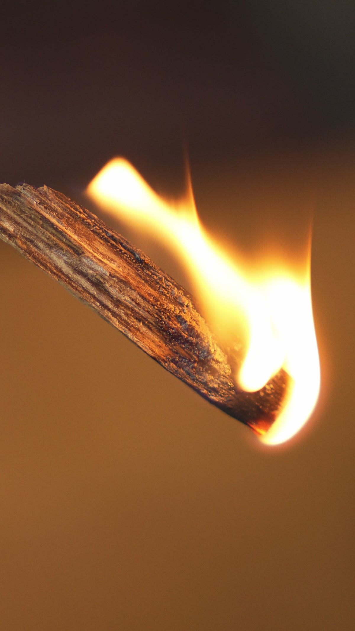 Vietnamese Agarwood Incense Oud: Sweet Woody Aroma, Handcrafted
