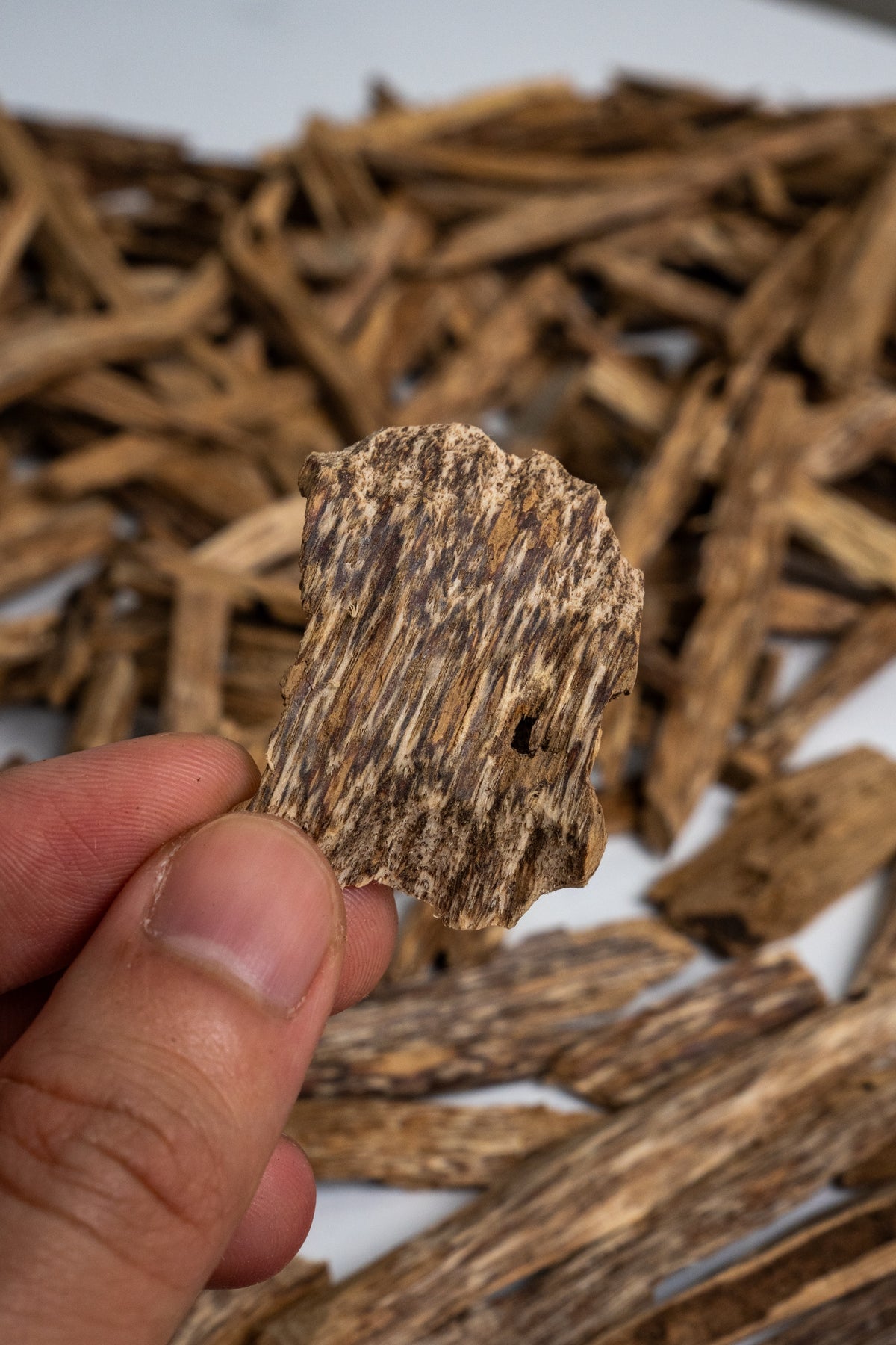 Vietnamese Agarwood Incense Oud: Sweet Woody Aroma, Handcrafted