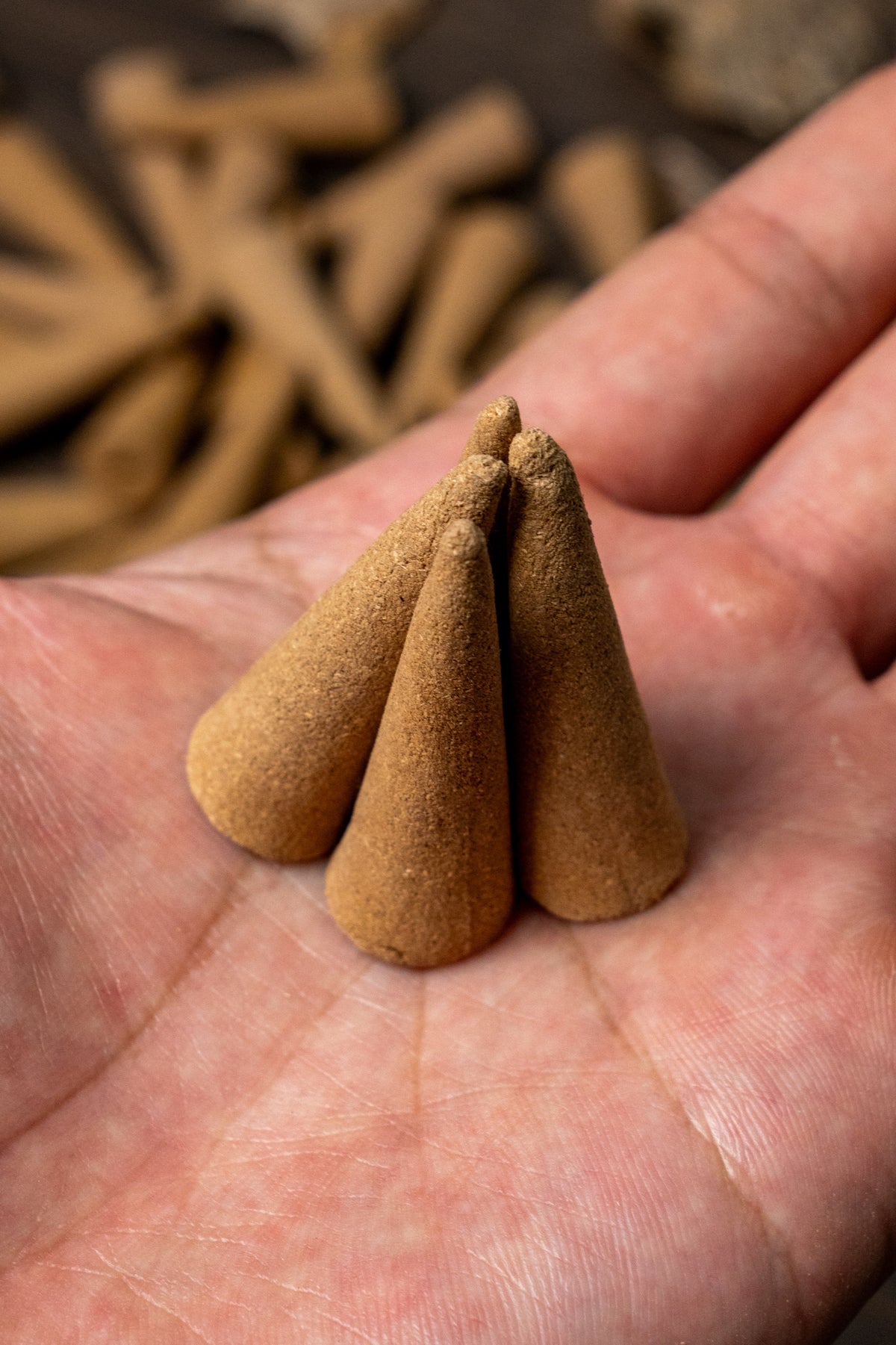 Leaf Incense Burner | Alloy Cone Burner | Free Vietnamese Agarwood Cones Included