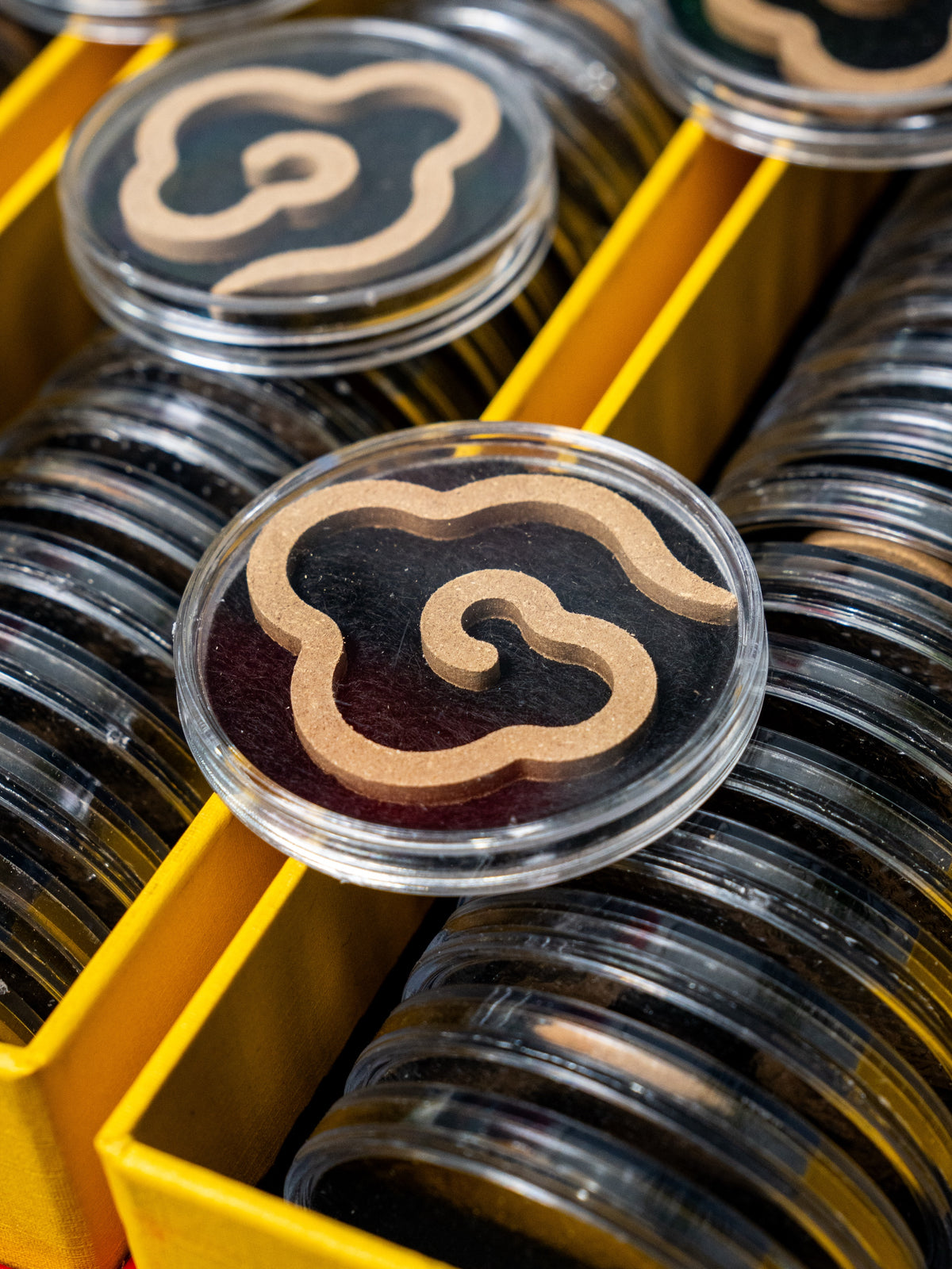 Agarwood Incense Coils | Vietnamese Oud Cloud Incense | Long Burning 60 Min